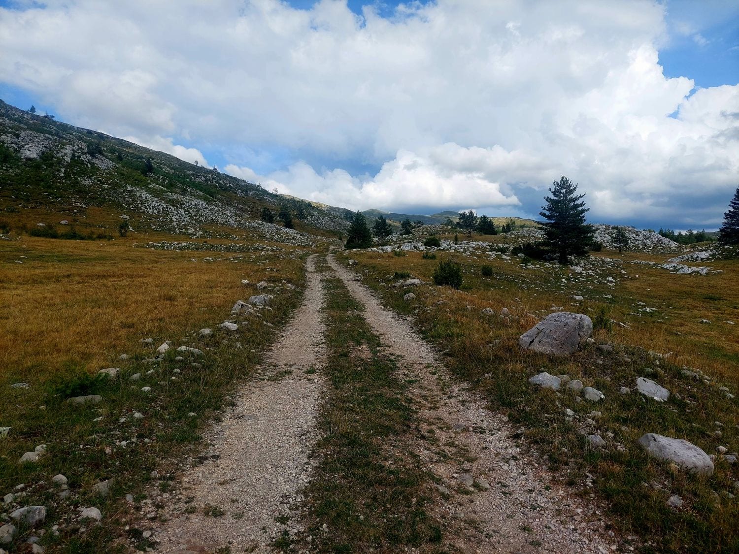 Pista de dos rodadas de grava entre pastos secos y piedras, con grandes nubes blancas
