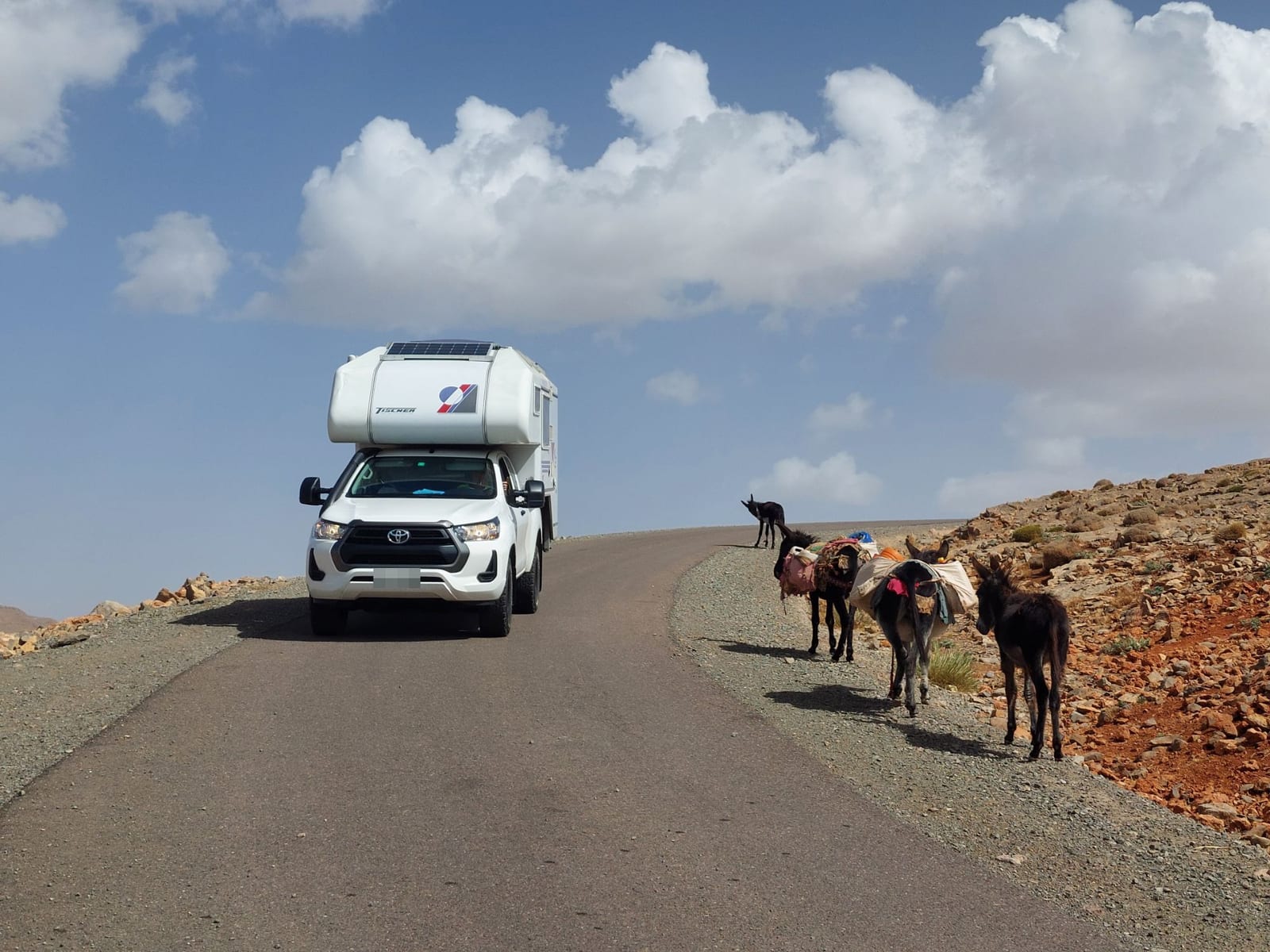 Rancherita por una carretera de montaña en Marruecos, cruzándose con unos burros cargados en el arcén